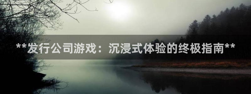 新城平台登录入口官网首页查询