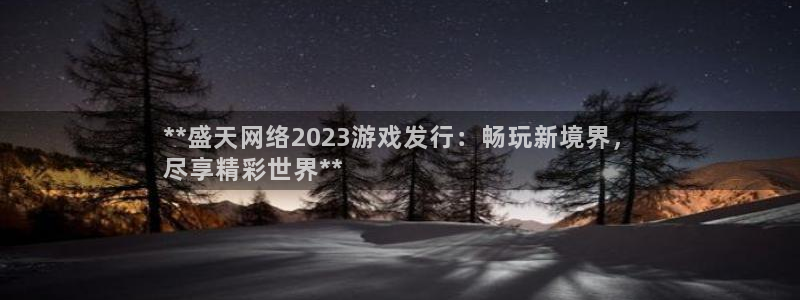 新城平台登录入口官网下载：**盛天网络2023游戏发行：畅玩新境界，
尽享精彩世界**